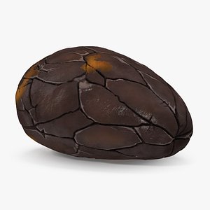 3D peeled roasted cacao cocoa
