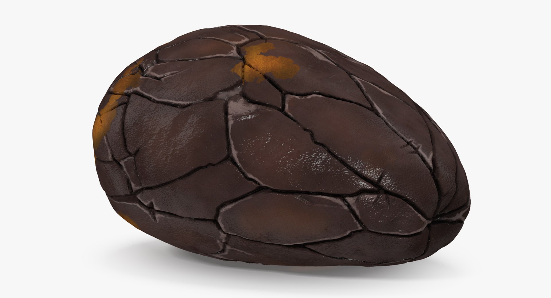 Peeled Roasted Cacao Cocoa Bean 3D model preview