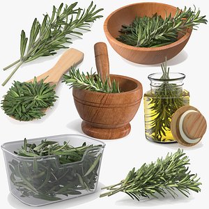 3D Fresh Rosemary Collection