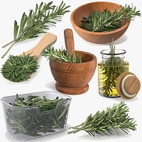 Fresh Rosemary Collection