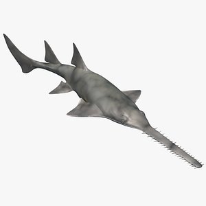 Sawfish Swimming Pose