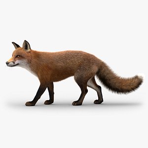 3D model fox rigged fur