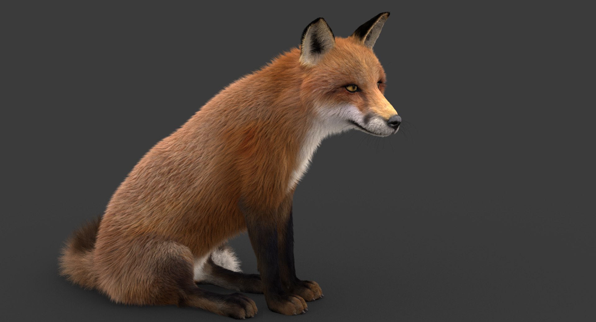 3D Model Fox Rigged Fur - TurboSquid 1215478