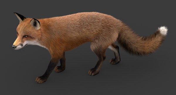 modelo 3d Fox (2) (RIG) (Piel) - TurboSquid 1215478