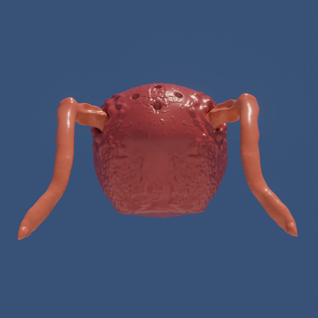 3D A round ugly virus or microorganism https://p.turbosquid.com/ts-thumb/YG/MCd0Tf/Es/05/jpg/1756957421/1920x1080/fit_q87/0cad54a47c5cdf3deddb6129d686c0f0c4da8b06/05.jpg