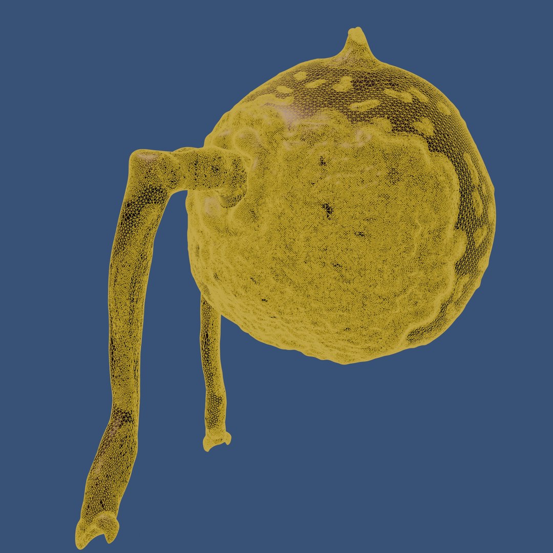 3D A round ugly virus or microorganism https://p.turbosquid.com/ts-thumb/YG/MCd0Tf/oK/07/jpg/1756957943/1920x1080/fit_q87/1f06dead3b804e4e2a0f1150267cbfd4571daa39/07.jpg