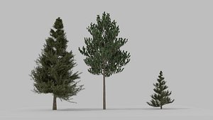 Treepack with 3 trees