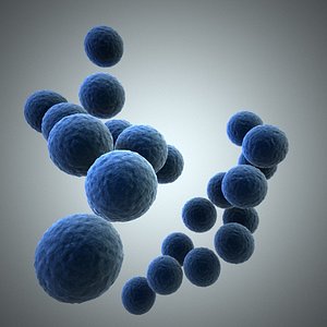 Streptococcus