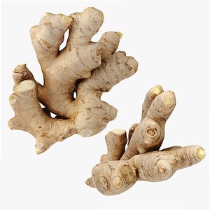 3D model Ginger