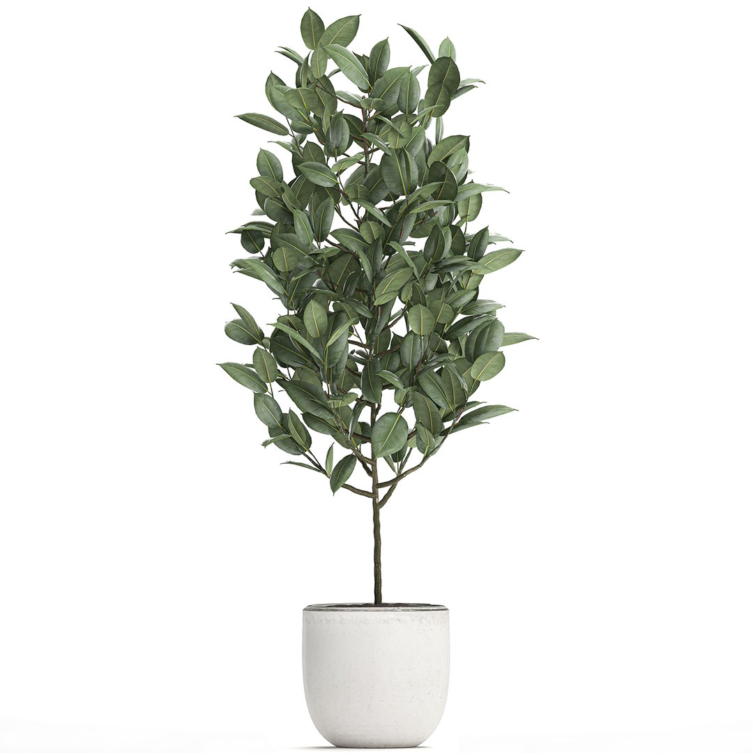 3D model trees interior pots ficus https://p.turbosquid.com/ts-thumb/YG/dUnyJL/8j6TTACy/ficus2906202001/jpg/1593523186/1920x1080/fit_q87/22b13a59ec8d1af92351268b4232eee158e25500/ficus2906202001.jpg