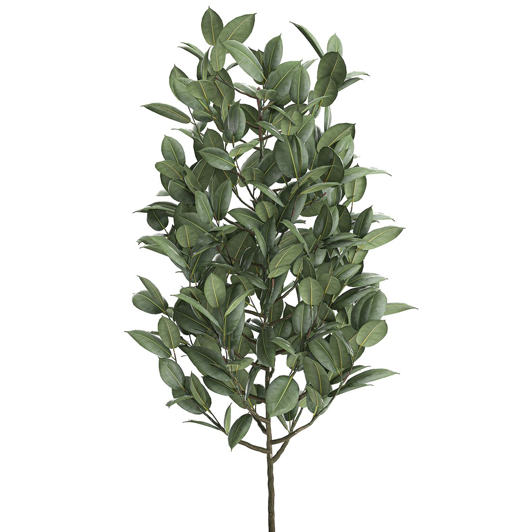 3D model trees interior pots ficus https://p.turbosquid.com/ts-thumb/YG/dUnyJL/A81ITkKC/ficus2906202002/jpg/1593523186/1920x1080/fit_q87/28514310fe01c5a29132459a3909c88773c4adf1/ficus2906202002.jpg