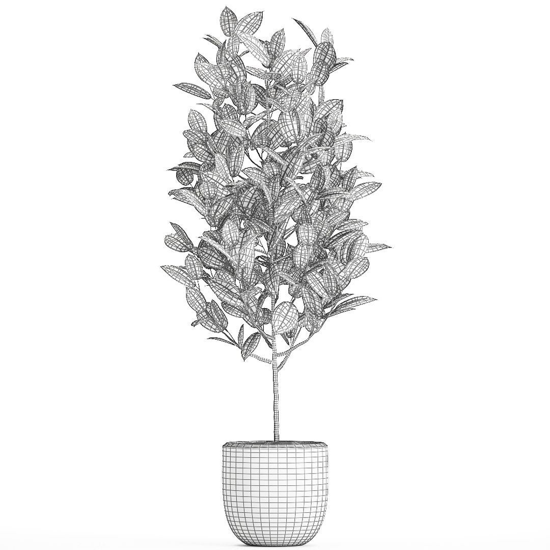 3D model trees interior pots ficus https://p.turbosquid.com/ts-thumb/YG/dUnyJL/CwJiAm8p/ficus2906202009/jpg/1593523186/1920x1080/fit_q87/831ba1d7c73869934469581143c48d0882886703/ficus2906202009.jpg