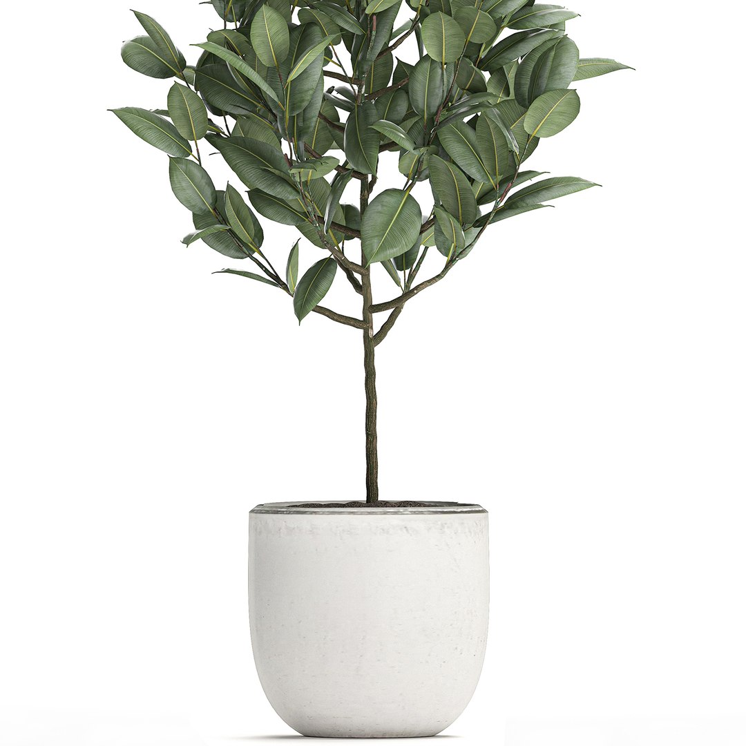 3D model trees interior pots ficus https://p.turbosquid.com/ts-thumb/YG/dUnyJL/REEHtF8Y/ficus2906202003/jpg/1593523186/1920x1080/fit_q87/58ef3a7a3b7349592c0362d809b7c96fd7a814c8/ficus2906202003.jpg