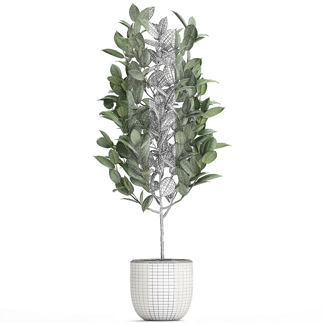 3D model trees interior pots ficus https://p.turbosquid.com/ts-thumb/YG/dUnyJL/o8RbwaMu/ficus2906202007/jpg/1593523186/1920x1080/fit_q87/3a106232fdee8a17761c3f0a5d506ea6852aba15/ficus2906202007.jpg