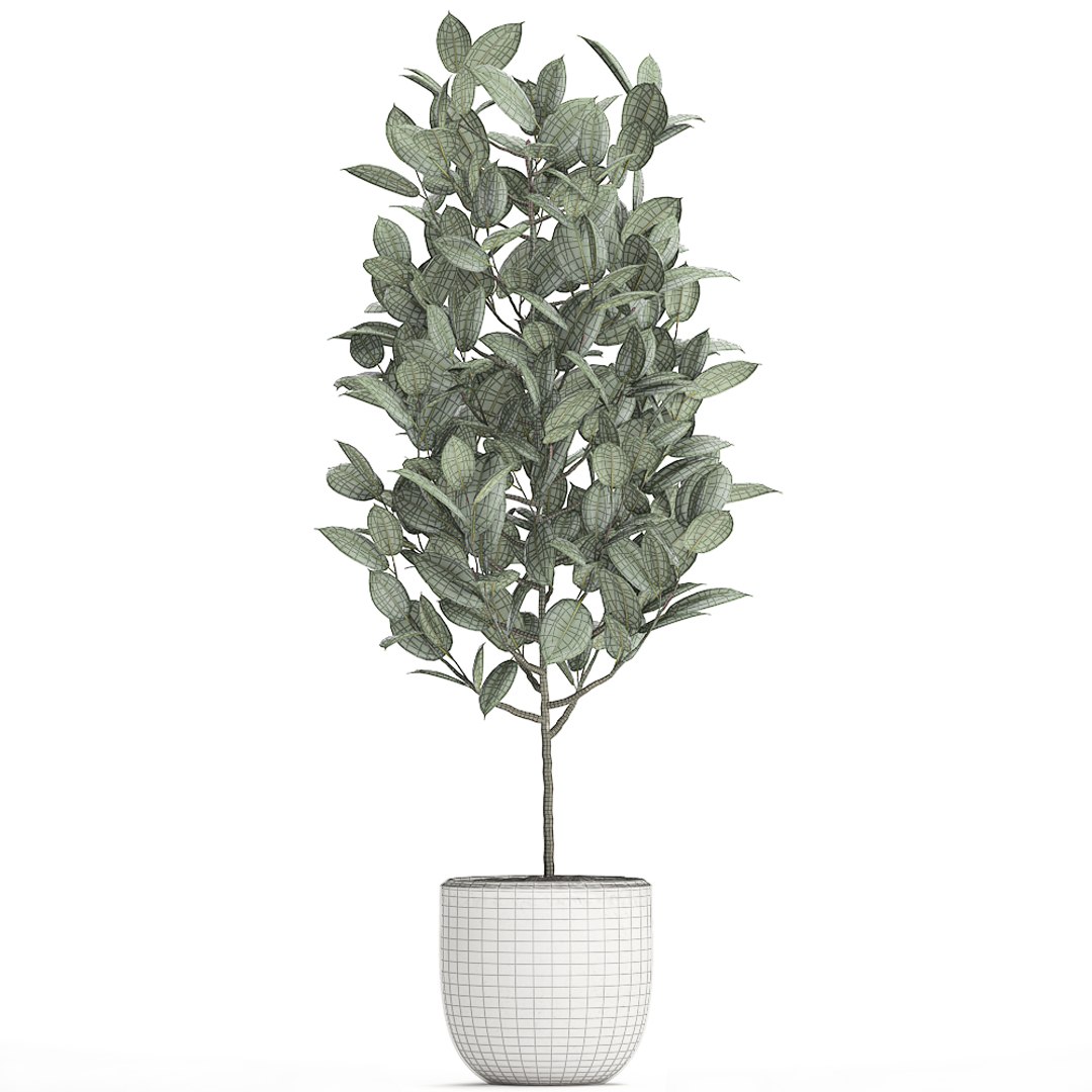 3D model trees interior pots ficus https://p.turbosquid.com/ts-thumb/YG/dUnyJL/odPLY8tz/ficus2906202008/jpg/1593523186/1920x1080/fit_q87/6e72eae71eb77c190be9b505500457a099f427ad/ficus2906202008.jpg