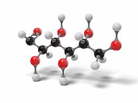 3D Glucose Open Chain Molecular model C6H12O6