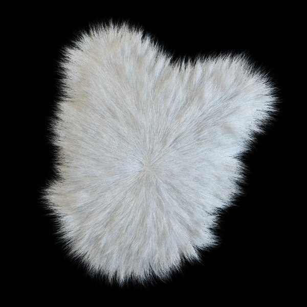 max longhaired sheep skin