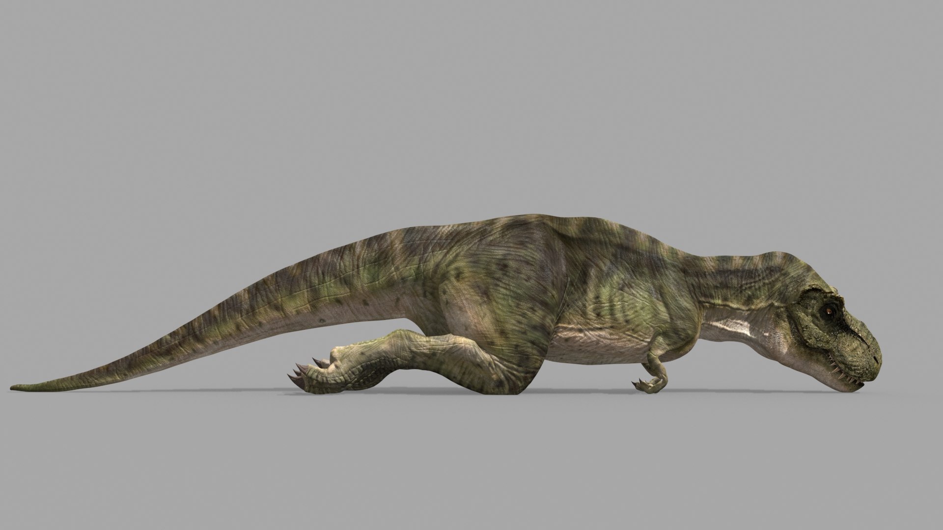 T Rex Premium 8K - fully animated 3D https://p.turbosquid.com/ts-thumb/YH/3MnJSe/4j/158/jpg/1654807312/1920x1080/fit_q87/ff9611231c4b4ac11255651305bfdb2eb267e997/158.jpg