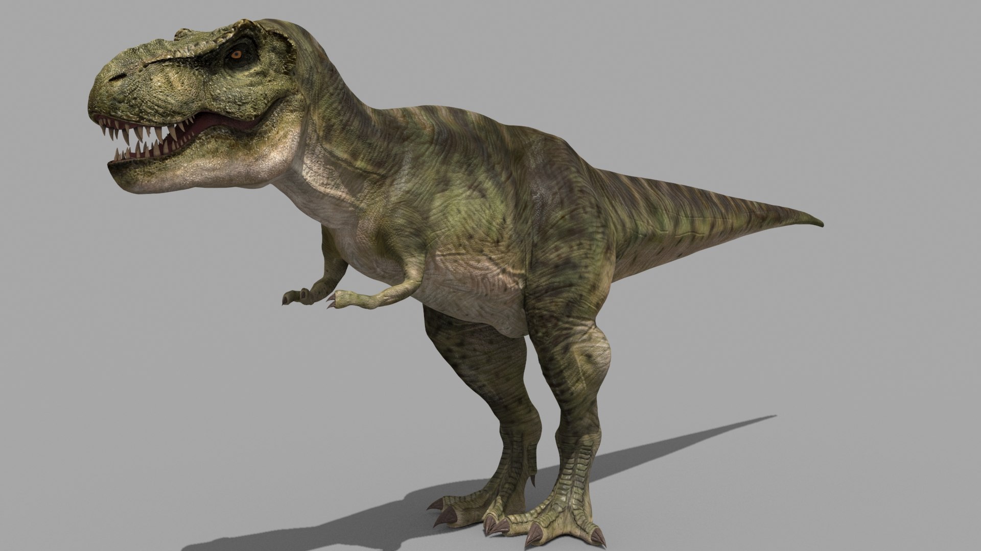 T Rex Premium 8K - fully animated 3D https://p.turbosquid.com/ts-thumb/YH/3MnJSe/CR/11/jpg/1654807309/1920x1080/fit_q87/b98a944b3e8ae15ea0e6af25b565808abd6b42de/11.jpg