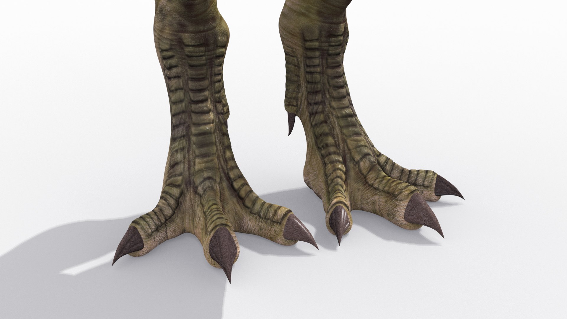 T Rex Premium 8K - fully animated 3D https://p.turbosquid.com/ts-thumb/YH/3MnJSe/DE/5/jpg/1654807302/1920x1080/fit_q87/911478462f03cd343ba9b96d06739b69508e2bd5/5.jpg