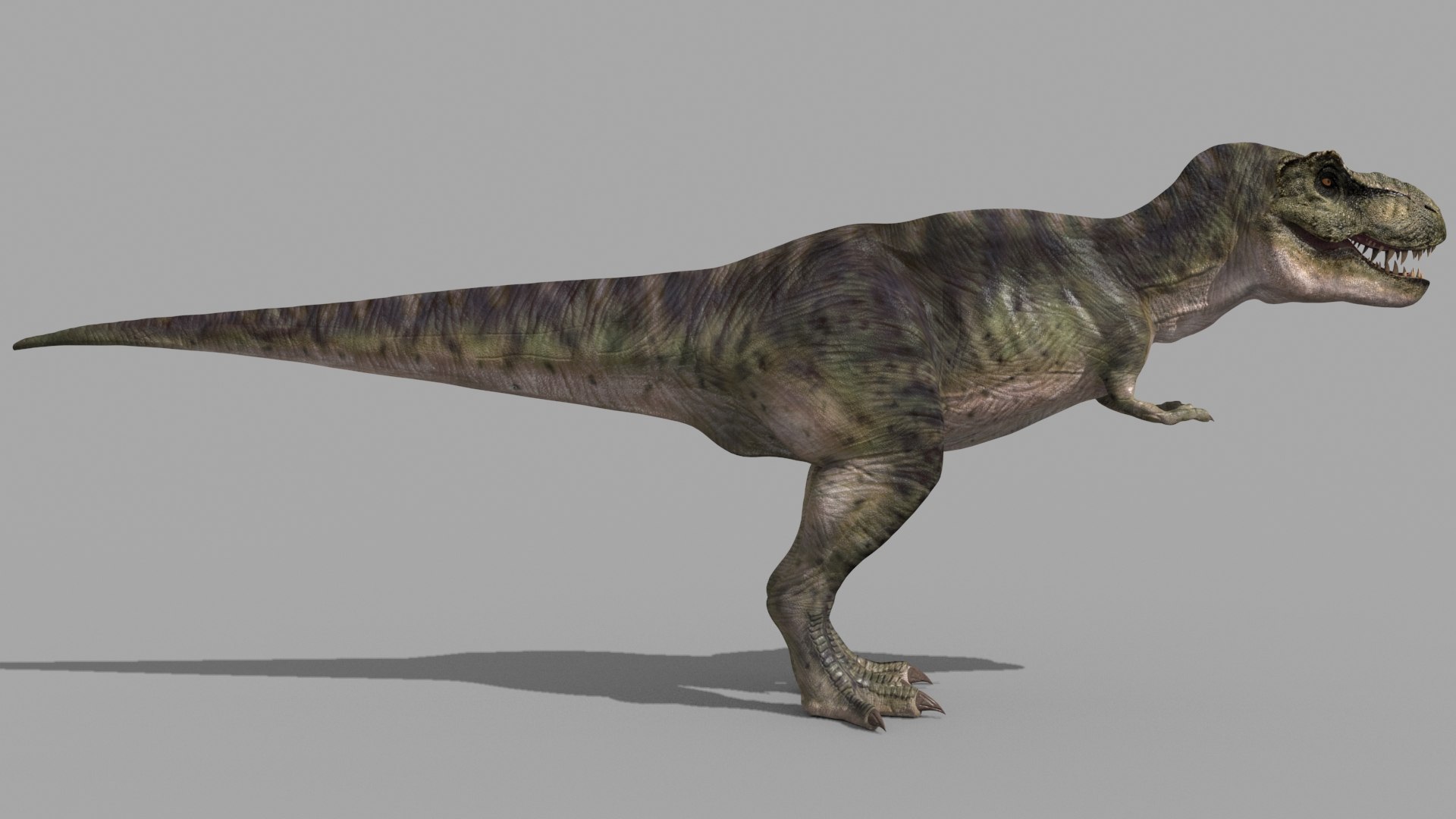 T Rex Premium 8K - fully animated 3D https://p.turbosquid.com/ts-thumb/YH/3MnJSe/H8/655/jpg/1654807304/1920x1080/fit_q87/4a11a5f9ad29433a4faa91a51f28d9479161800d/655.jpg