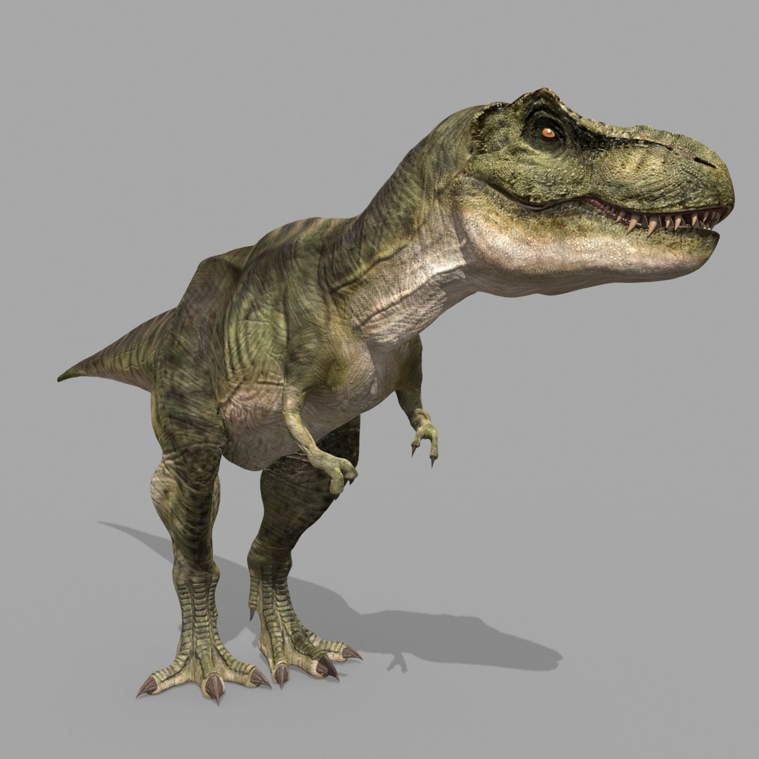 T Rex Premium 8K - fully animated 3D https://p.turbosquid.com/ts-thumb/YH/3MnJSe/aP/17/jpg/1654807299/1920x1080/fit_q87/2285caeb0e8bc4ea46f1fb2f935e78e308c7c3f6/17.jpg