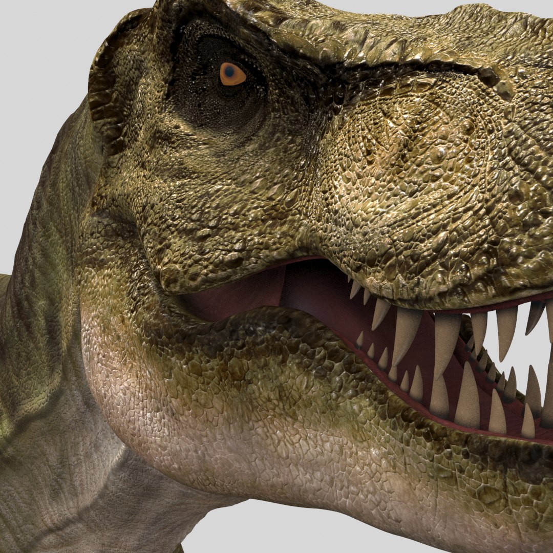 T Rex Premium 8K - fully animated 3D https://p.turbosquid.com/ts-thumb/YH/3MnJSe/nH/10/jpg/1654807308/1920x1080/fit_q87/6a81bebd287b1aaca85e361e5becbca104d27c34/10.jpg