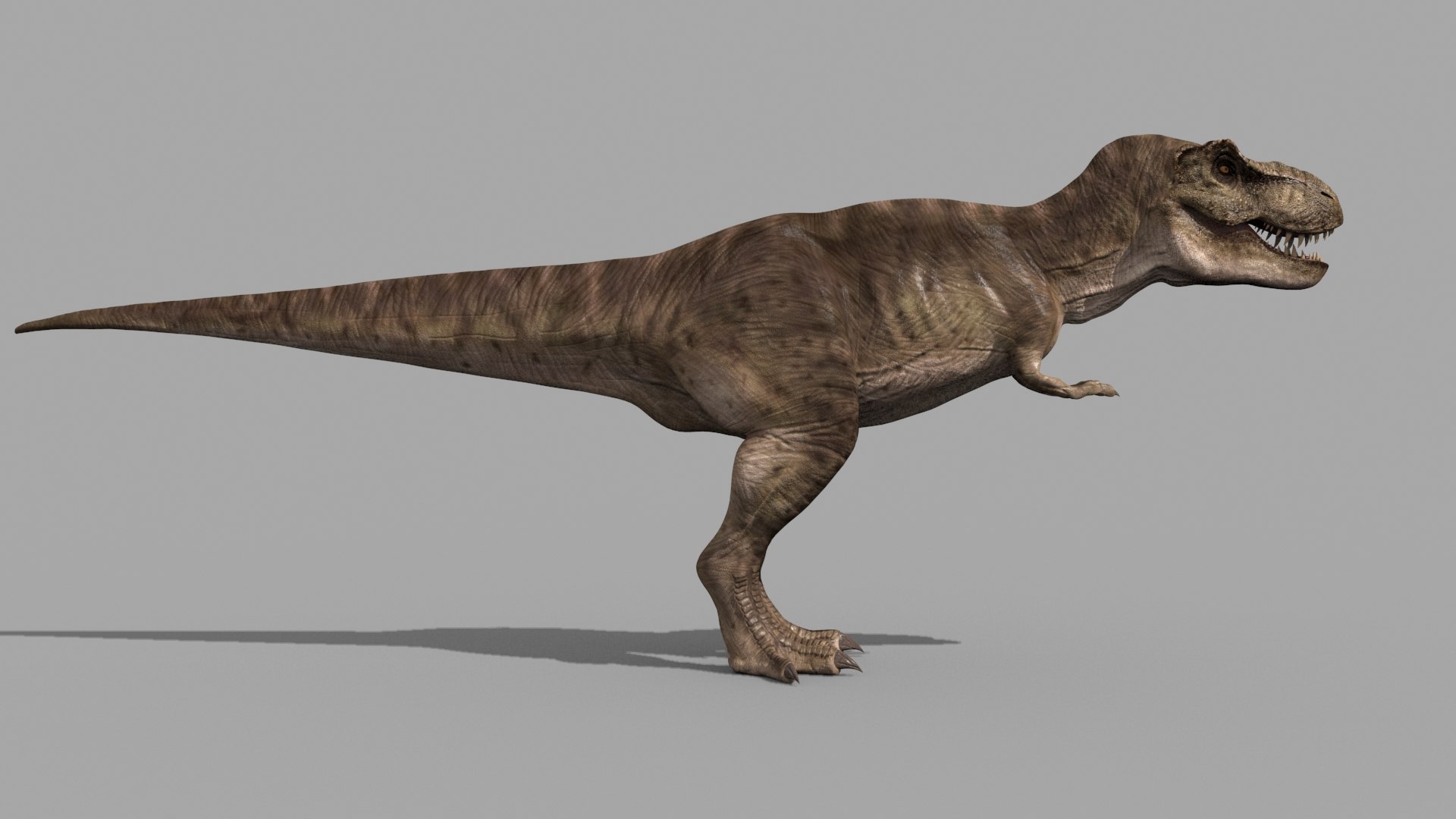 T Rex Premium 8K - fully animated 3D https://p.turbosquid.com/ts-thumb/YH/3MnJSe/u1/65/jpg/1654807302/1920x1080/fit_q87/4ff8d2439806da7f71d5f3b64455b39df0ba0c05/65.jpg