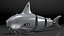 Collection de robots sous-marins 6