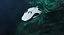 Collection de robots sous-marins 6