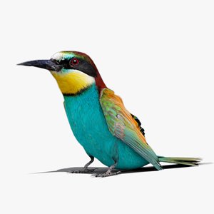 3D model bee eater