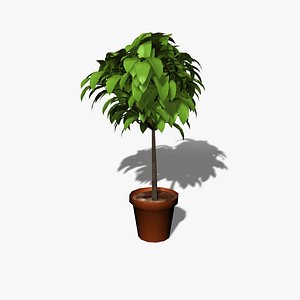 3d cartoon plant model