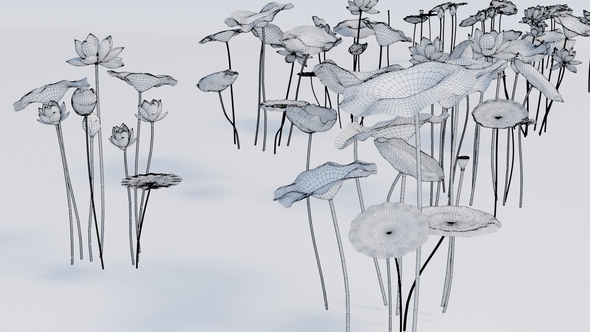 Realistic Lotus 3D https://p.turbosquid.com/ts-thumb/YH/VutnJ3/FW/untitled1/jpg/1626861713/1920x1080/fit_q87/a408910079409096c5d2ca714a823e2640f62dfb/untitled1.jpg