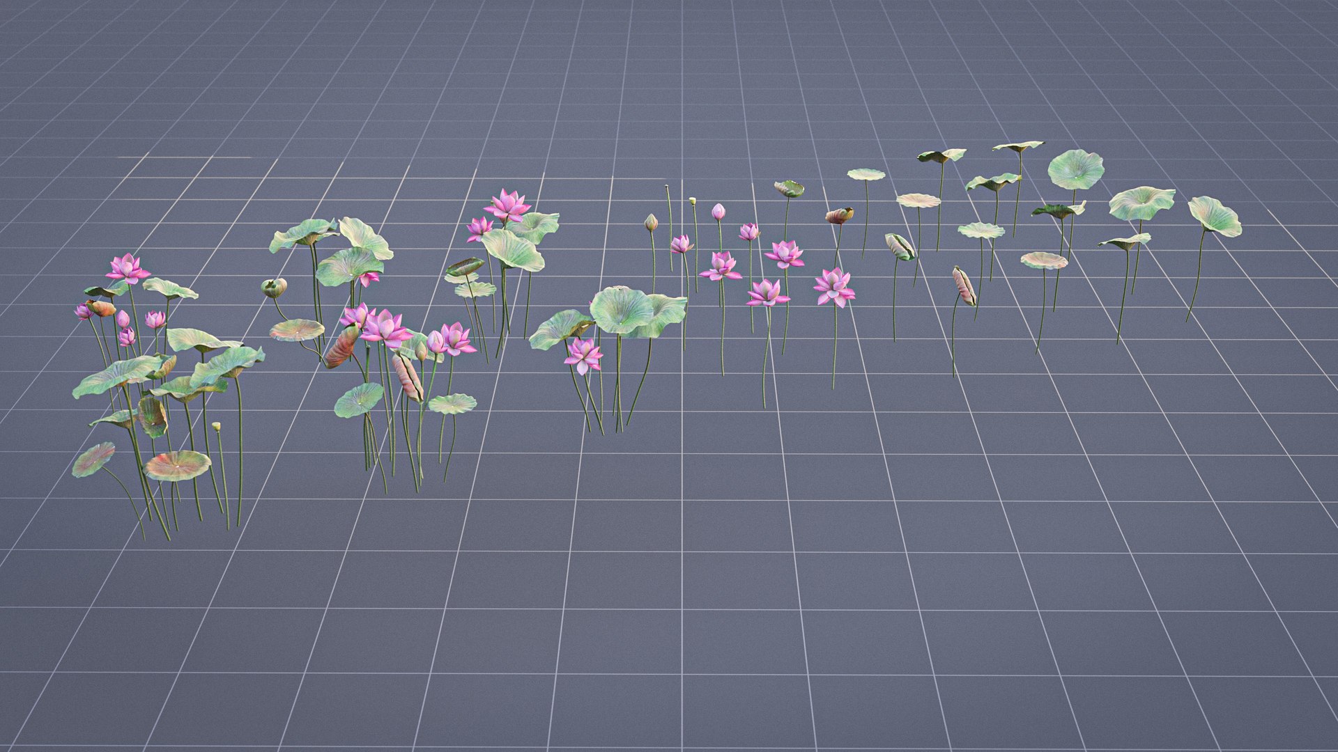 Realistic Lotus 3D https://p.turbosquid.com/ts-thumb/YH/VutnJ3/LN/render02/jpg/1626861716/1920x1080/fit_q87/66c6046fd2768570f43bda3e56b91bd8e3a2efc8/render02.jpg