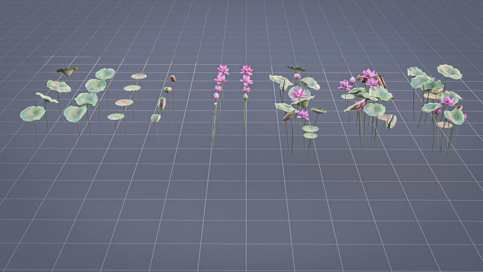 Realistic Lotus 3D https://p.turbosquid.com/ts-thumb/YH/VutnJ3/M2/render07/jpg/1626861717/1920x1080/fit_q87/0834b3b456d238520c90d605d7c295c105fc2f6d/render07.jpg