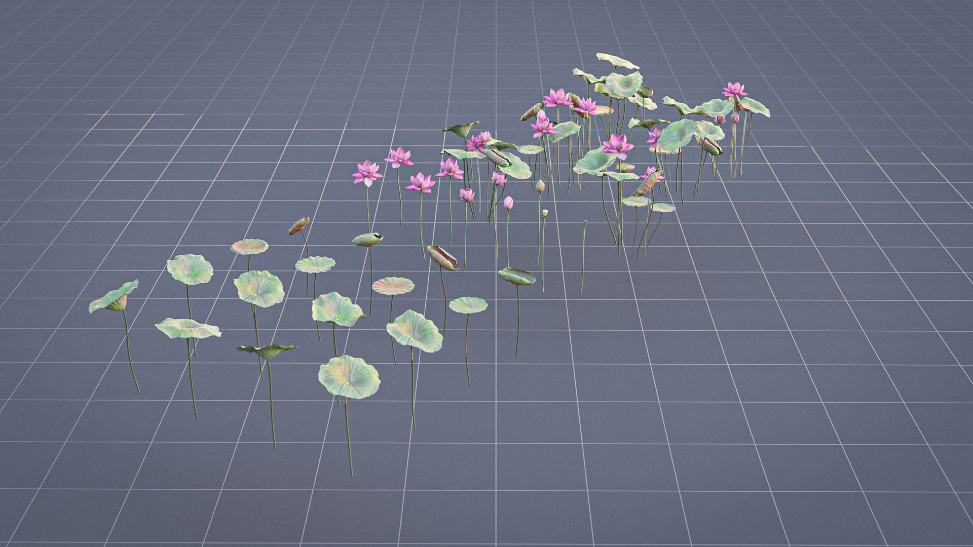 Realistic Lotus 3D https://p.turbosquid.com/ts-thumb/YH/VutnJ3/PD/render09/jpg/1626861718/1920x1080/fit_q87/e081ee0f01f61fac972c3944876b24331f545edc/render09.jpg