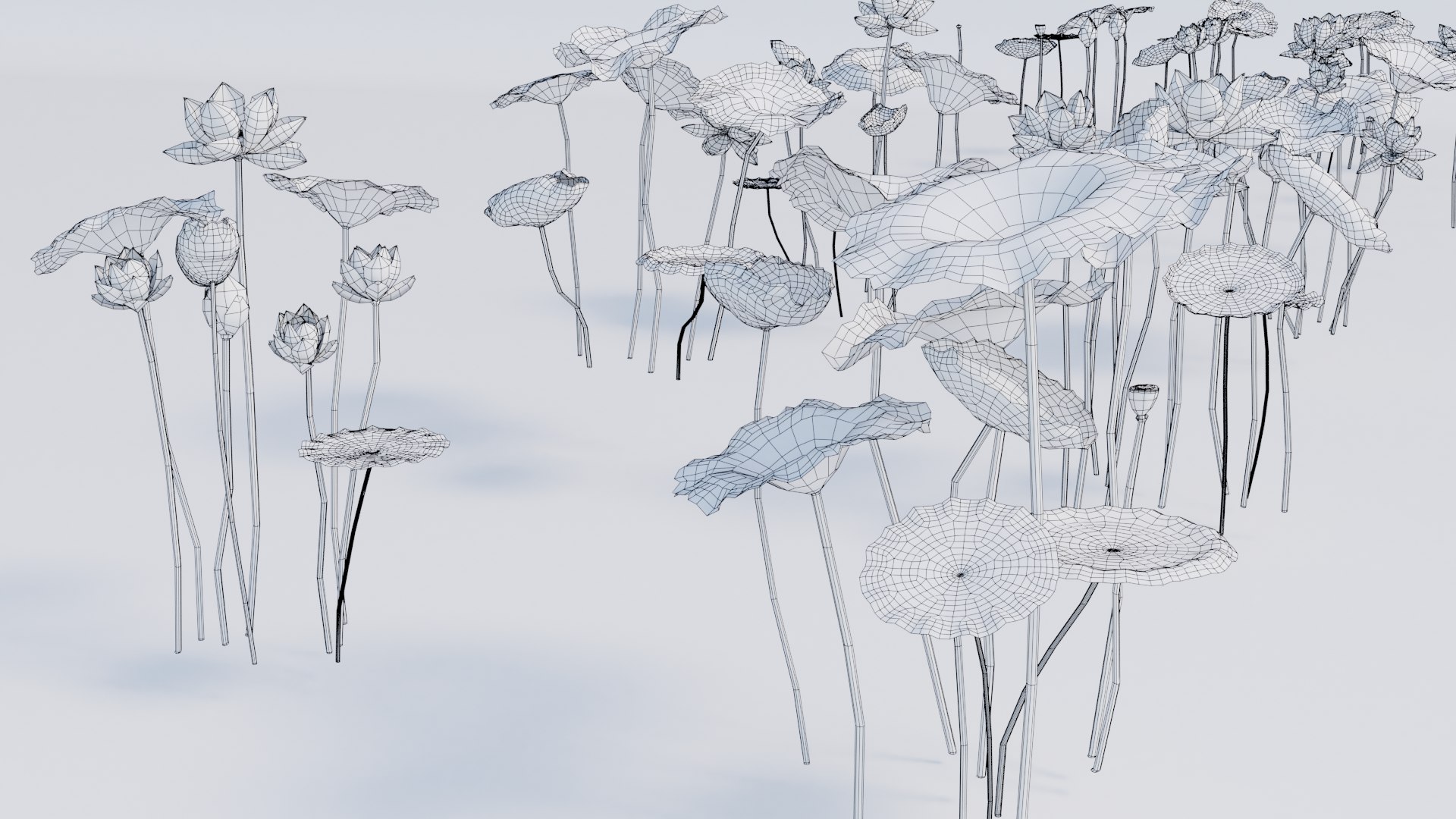 Realistic Lotus 3D https://p.turbosquid.com/ts-thumb/YH/VutnJ3/TK/untitled/png/1626861715/1920x1080/fit_q87/5f2c91452d1d00b81c0535fd1678a742e0190b71/untitled.jpg