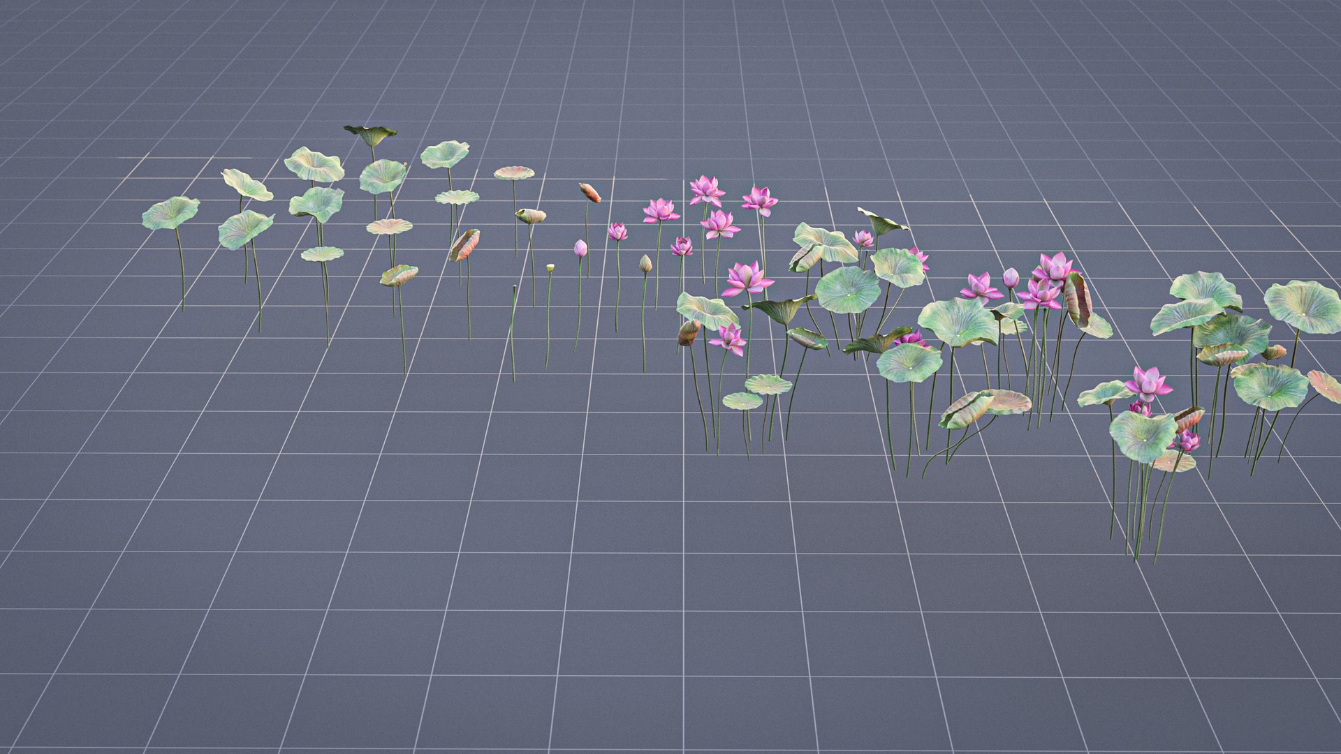 Realistic Lotus 3D https://p.turbosquid.com/ts-thumb/YH/VutnJ3/ed/render06/jpg/1626861717/1920x1080/fit_q87/0ccb5415b959cc6182b4e186a2856170aadac703/render06.jpg