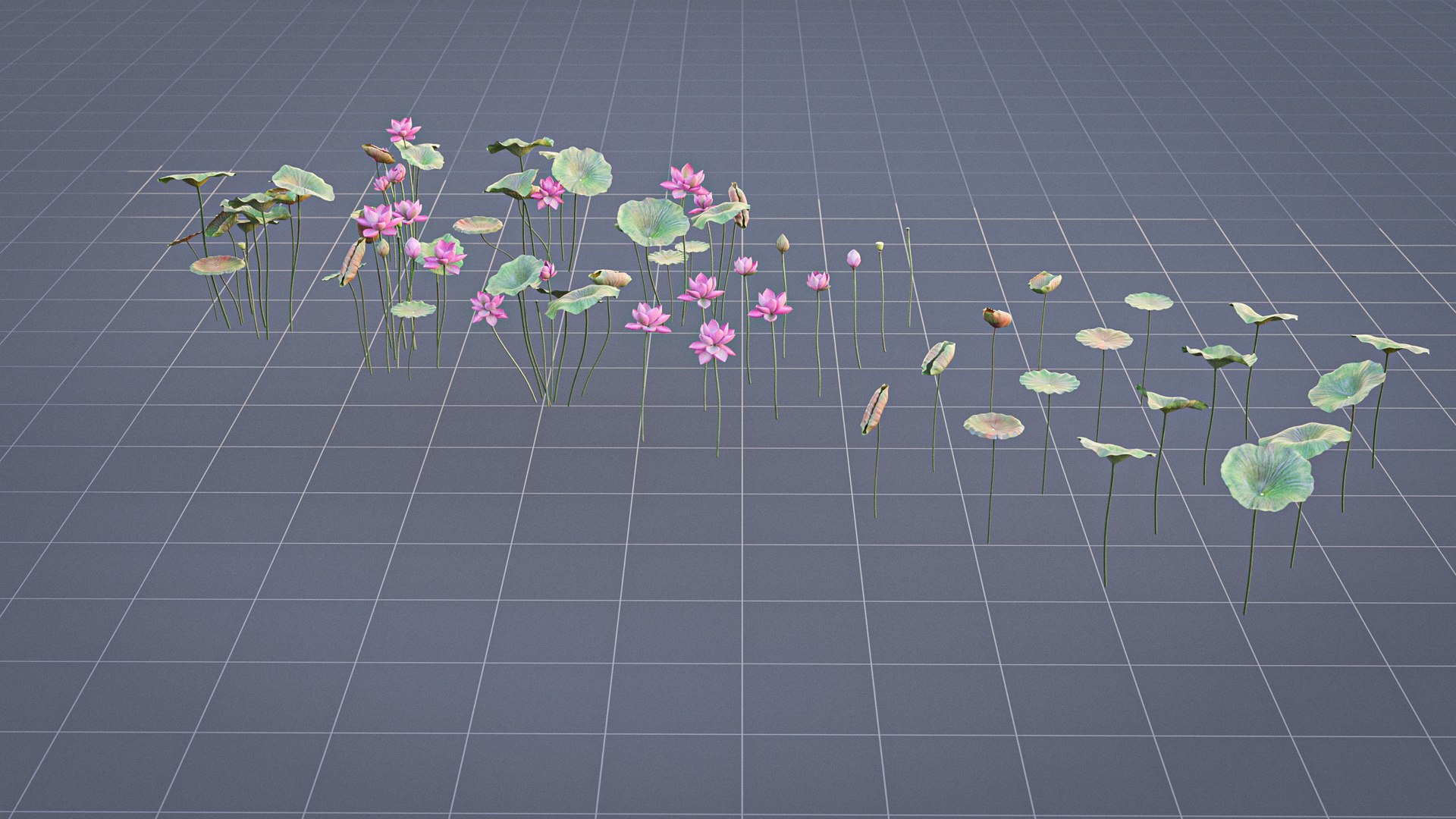 Realistic Lotus 3D https://p.turbosquid.com/ts-thumb/YH/VutnJ3/fU/render12/jpg/1626861717/1920x1080/fit_q87/1e50be01285ff0446ff0823d0d6b15250082187f/render12.jpg