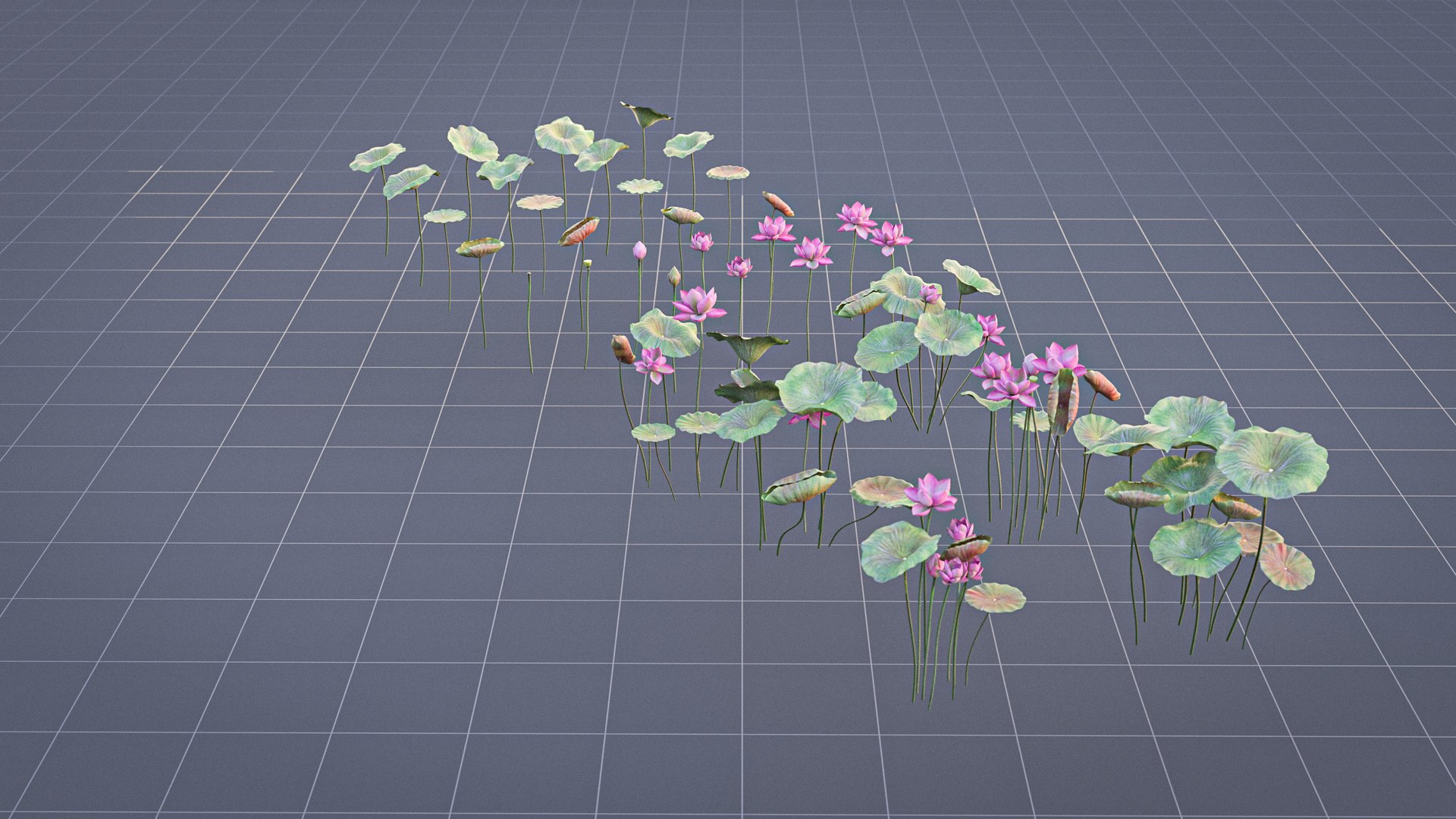 Realistic Lotus 3D https://p.turbosquid.com/ts-thumb/YH/VutnJ3/lo/render05/jpg/1626861719/1920x1080/fit_q87/b405c2d9a7f8a9e79025cf89ccbfa654f61fcc87/render05.jpg