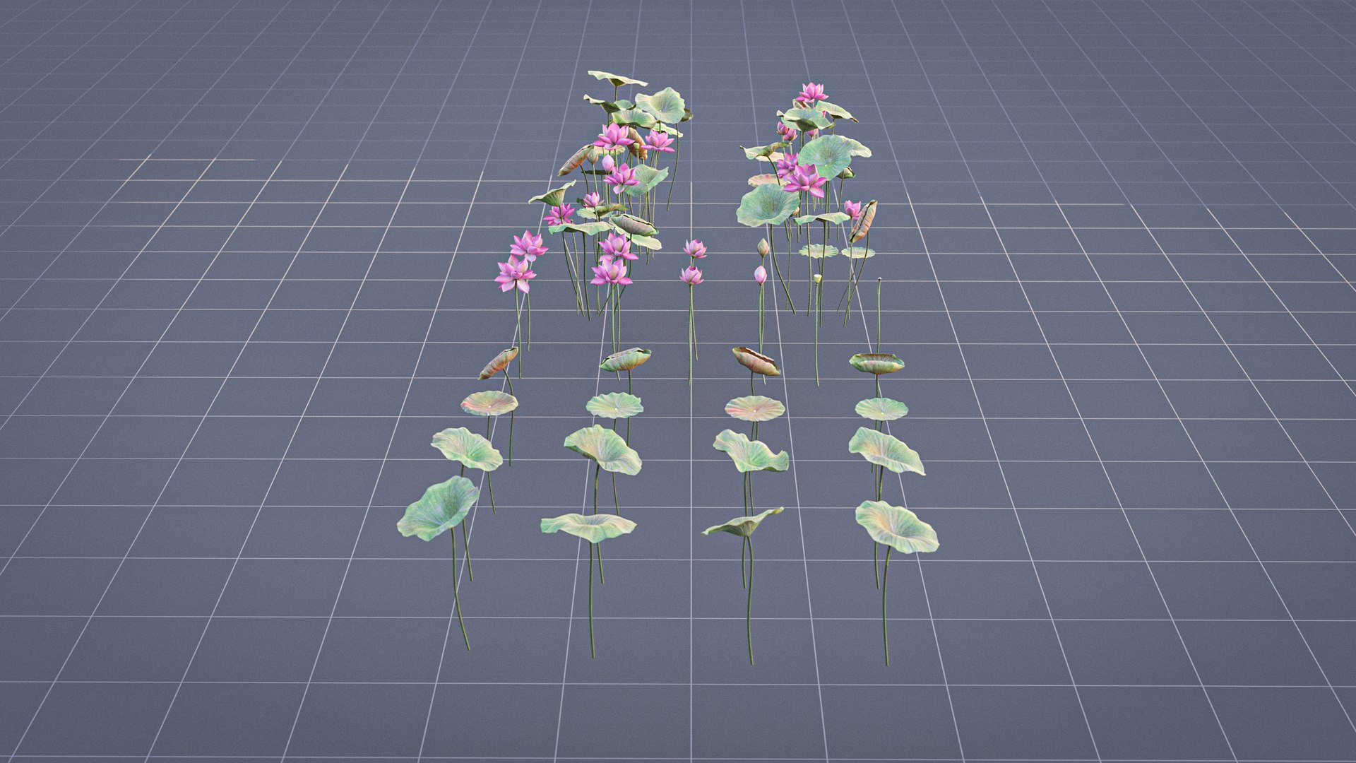 Realistic Lotus 3D https://p.turbosquid.com/ts-thumb/YH/VutnJ3/oY/render10/jpg/1626861719/1920x1080/fit_q87/ec86472b5d64af7a98da977df6768db26a795da9/render10.jpg