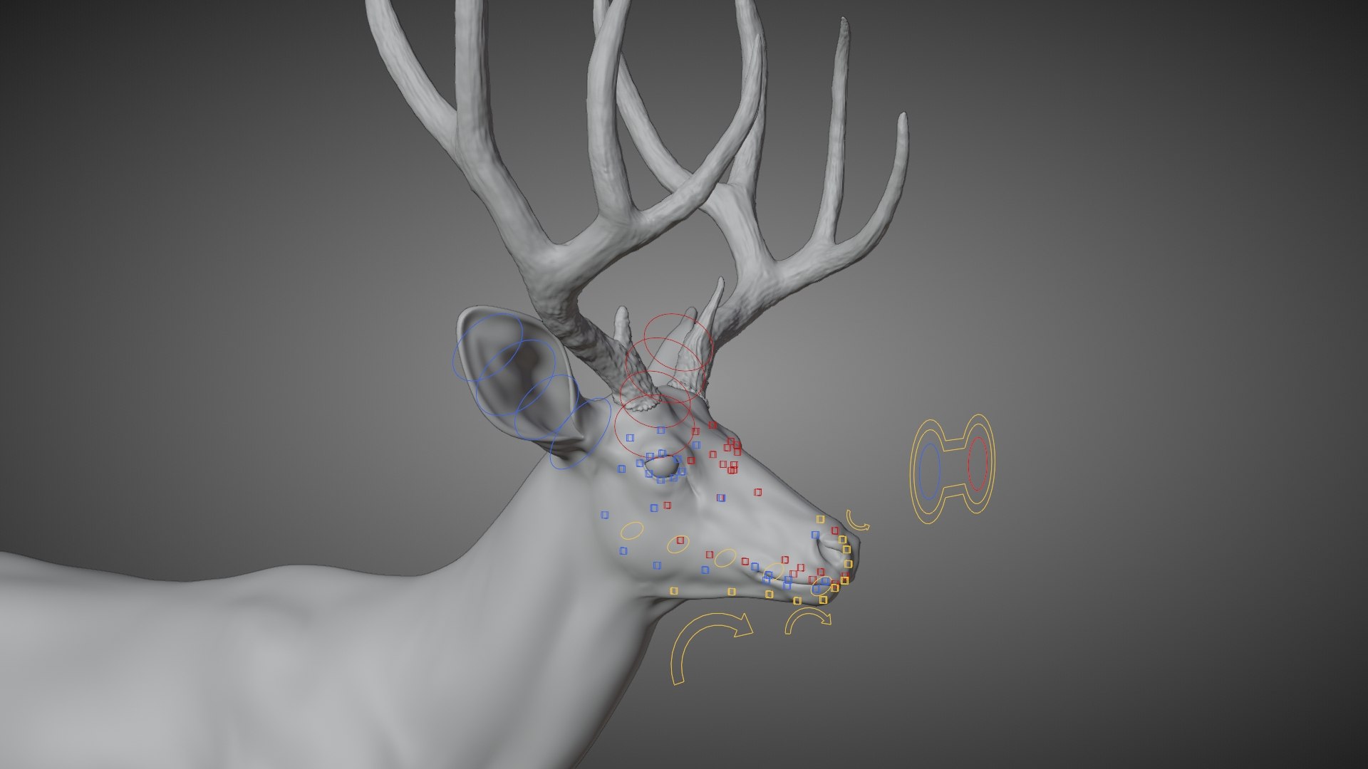 3D Mule Deer https://p.turbosquid.com/ts-thumb/YH/Zd9eao/Uu/jw0n0900_muledeer_male_rig03/jpg/1681454496/1920x1080/fit_q87/0d15d1103bbffbd4f19dca156c16c6c556b7e1dd/jw0n0900_muledeer_male_rig03.jpg