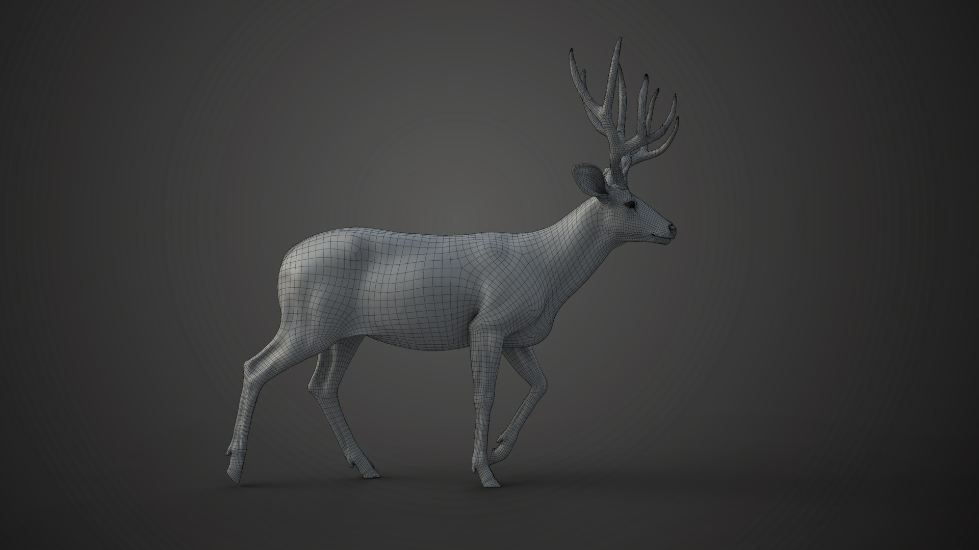 3D Mule Deer https://p.turbosquid.com/ts-thumb/YH/Zd9eao/XN/jw0n0900_muledeer_male_wire02/jpg/1681454496/1920x1080/fit_q87/edf4636eb5f53c0b5b3cbe1279e48971f1ffb475/jw0n0900_muledeer_male_wire02.jpg