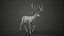 Mule Deer