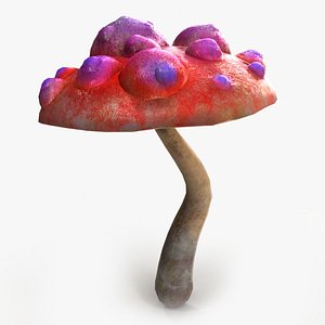 3D Mushroom V10 PBR