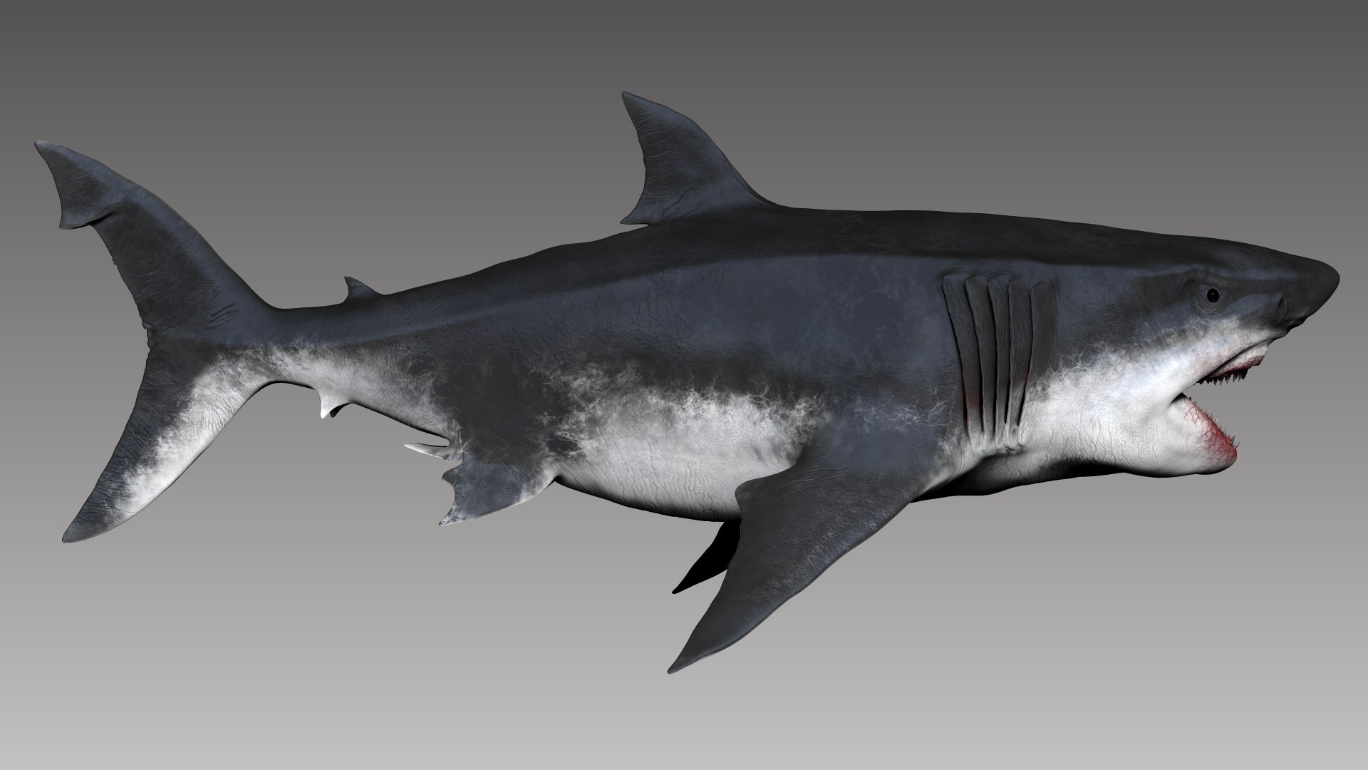 Megalodon Sculpt Project 3D - TurboSquid 1793232