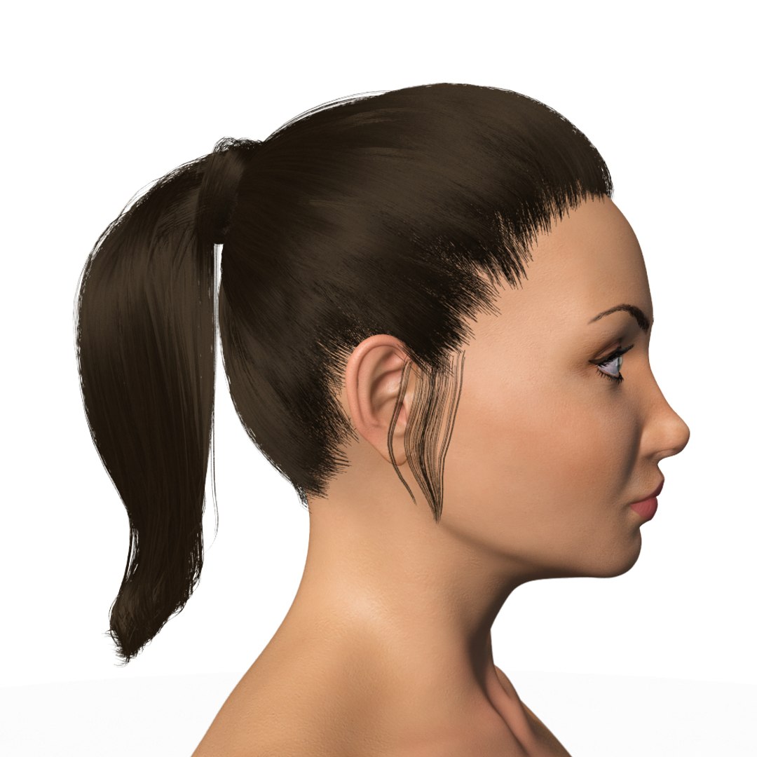 female brunette rig 3D model https://p.turbosquid.com/ts-thumb/YH/omynvv/uYKlRpAC/female_busty_euro_24/jpg/1540401120/1920x1080/fit_q87/2d3e999169e5565d445c14ef44b7a4ca4afe315d/female_busty_euro_24.jpg