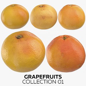 3D grapefruits 01