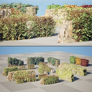 British Hedgerow Street side Plants Collection