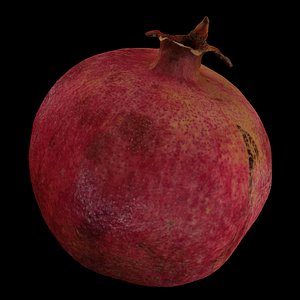 garnet fruit 3D model
